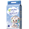 Bellini Teddy Bear