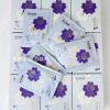 Extraordinary Core Sanitary Napkins